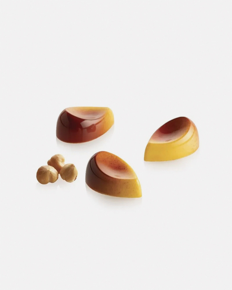 Mold Aurora - Florent Margaillan and Silikomart. Pastry Mold for pralines, snack bars and chocolate bars