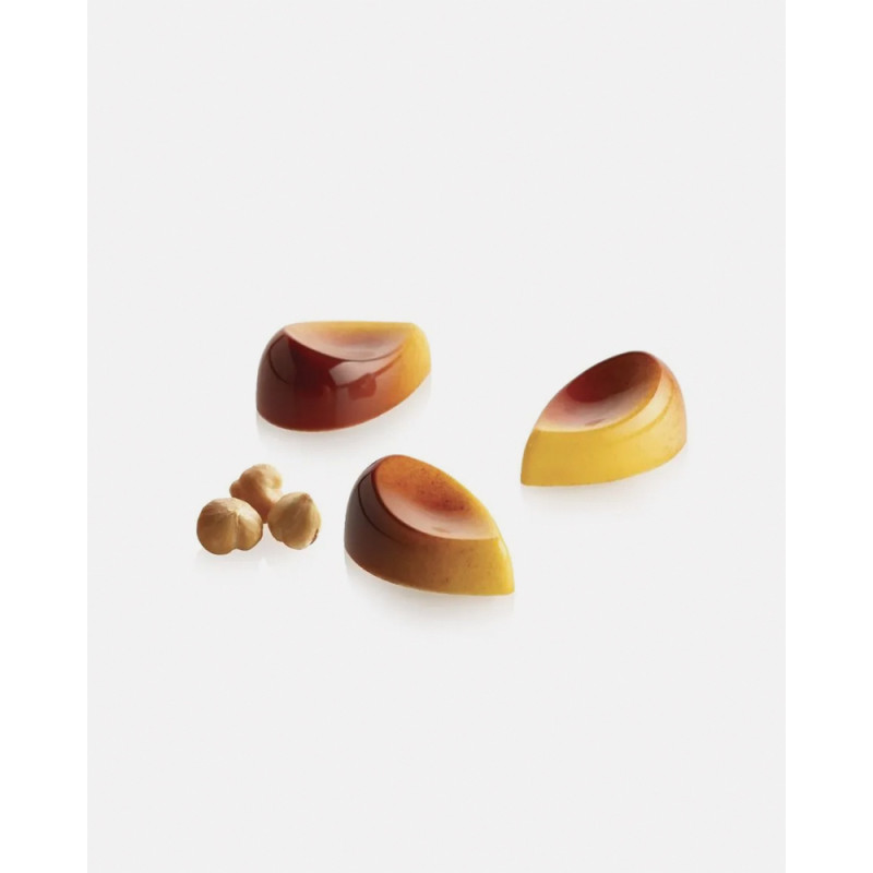 Mold Aurora - Florent Margaillan and Silikomart. Pastry Mold for pralines, snack bars and chocolate bars