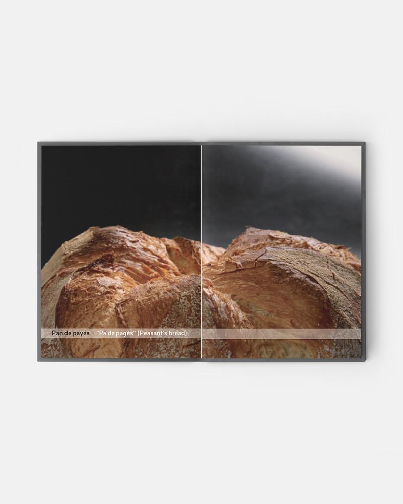 True Bread book by Joaquín Llarás
