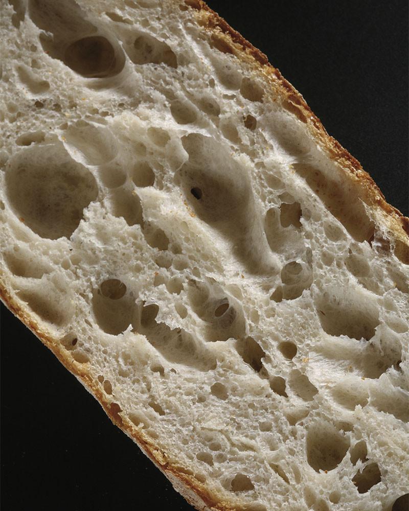 True Bread book by Joaquín Llarás