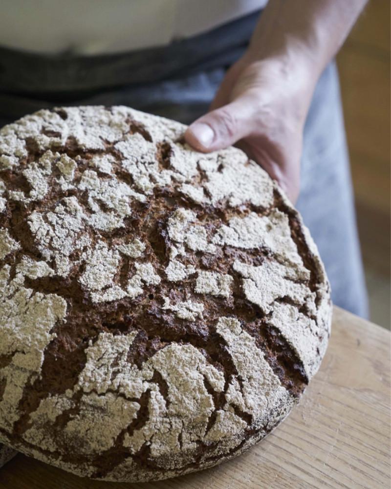 Sourdough Baking a Treatise by Thomas Teffri-Chambelland