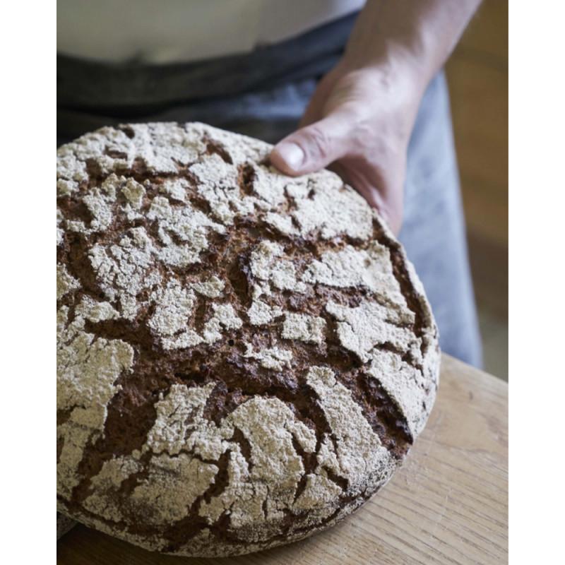 Sourdough Baking a Treatise by Thomas Teffri-Chambelland