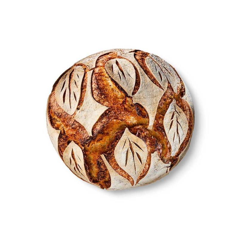 Modernist Bread