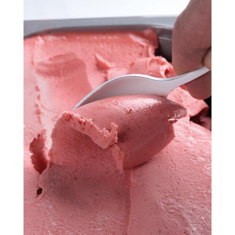 30 indispensable ice creams