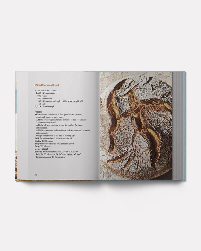 BREAD And My Thoughts book by Thomas Teffri-Chambelland