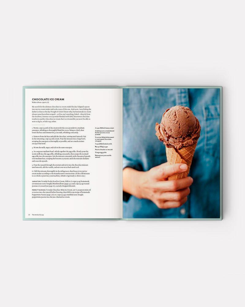 best ice cream book with ice cream recipes. The Perfect Scoop book by David Lebovitz