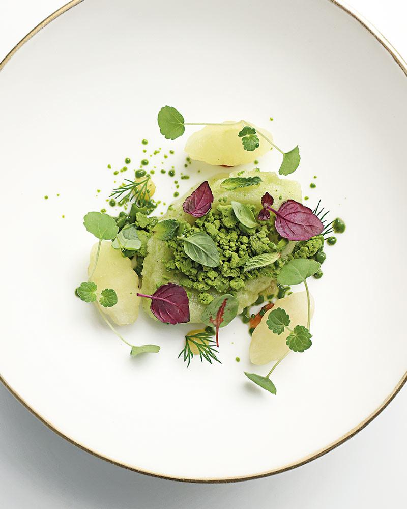 Saber y Sabor 193. Best Haute Cuisine Magazine