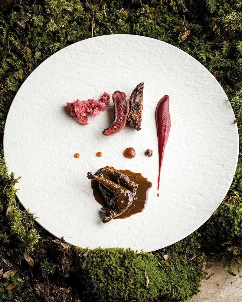 Saber y Sabor 193. Best Haute Cuisine Magazine