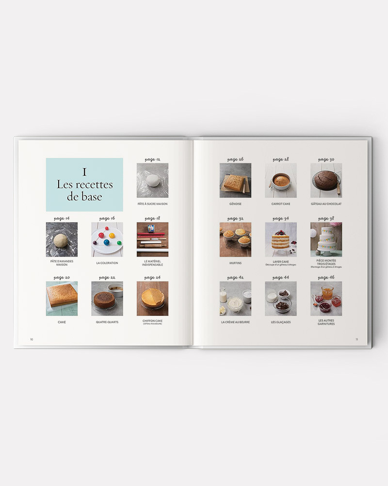 Cake Design Premiers Pas livre de Sally Francois