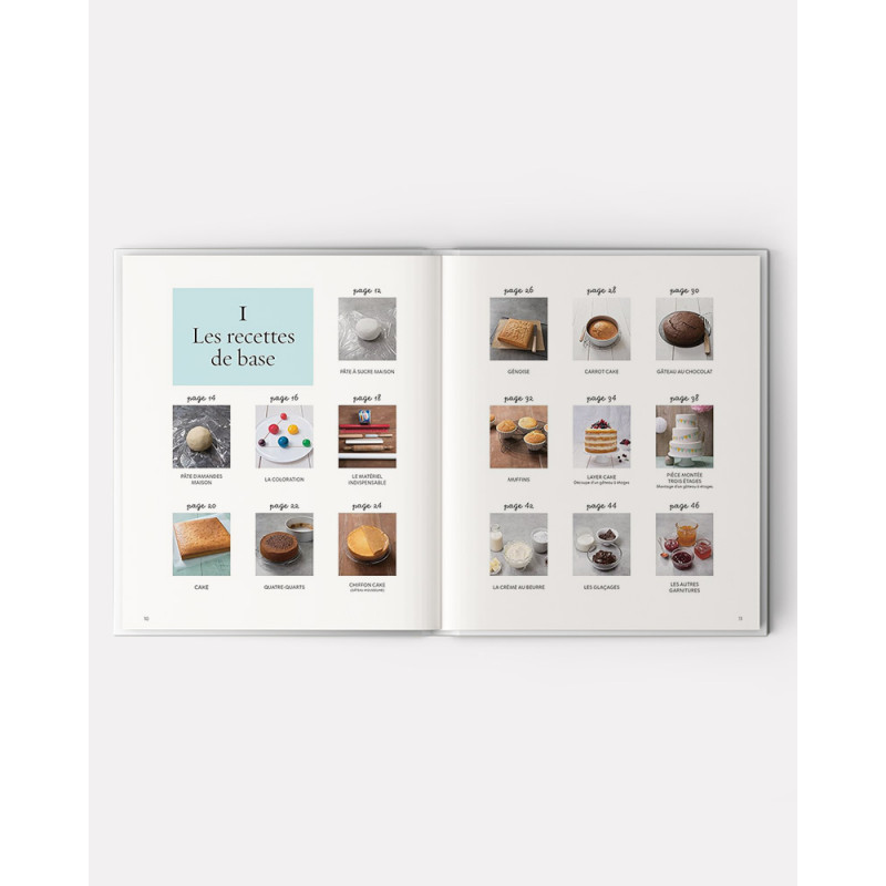 Cake Design Premiers Pas livre de Sally Francois