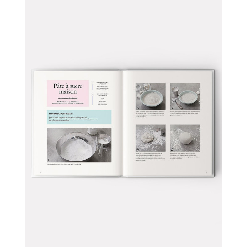 Cake Design Premiers Pas libro de Sally Francois
