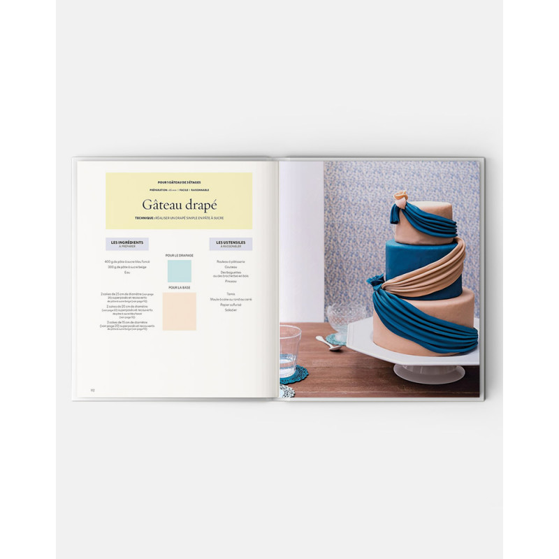 Cake Design Premiers Pas livre de Sally Francois