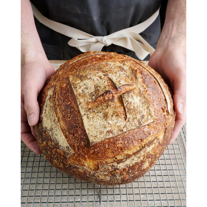 The Perfect Loaf book by Maurizio Leo