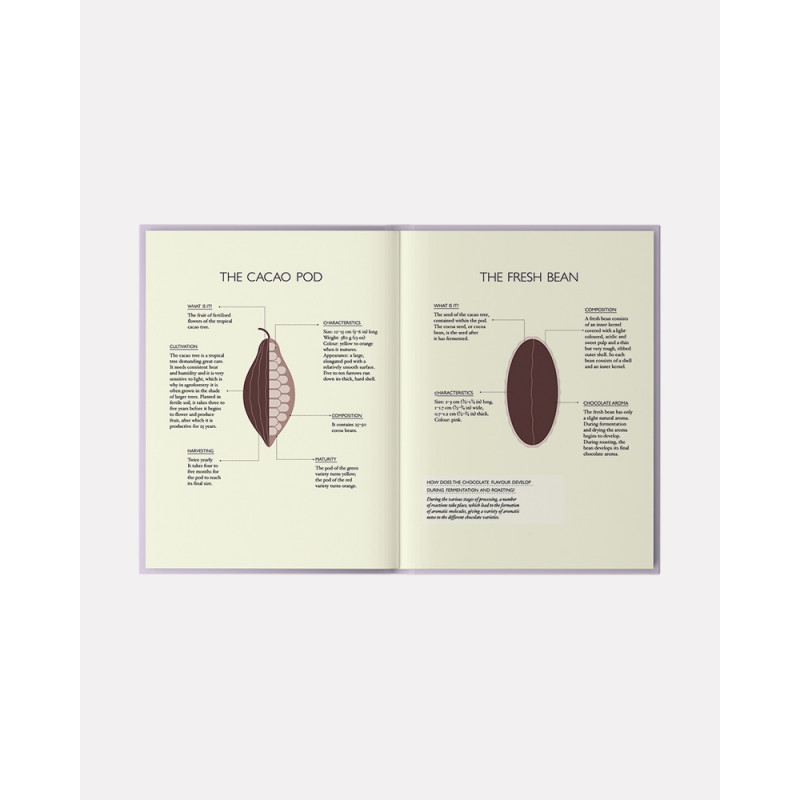 The Little Book of Chocolate: Sweet Treats: Make Your Own Chocolates at Home book by Melanie Dupuis