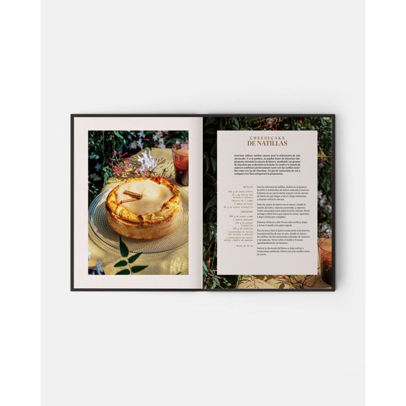 Cheesecakes book Aliter Dulcia. Cheesecakes recipes