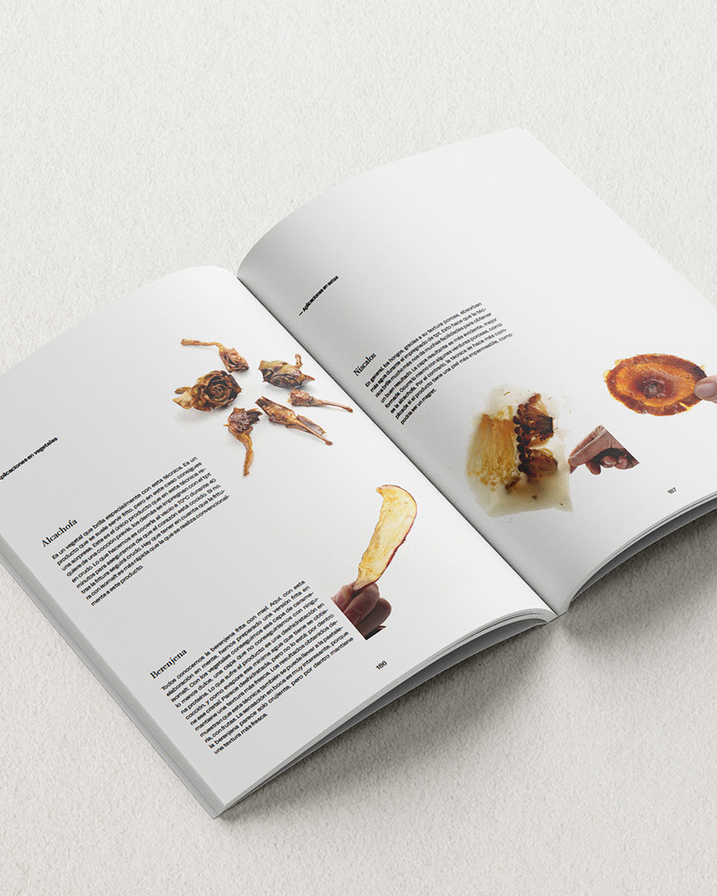 Saber y Sabor 196 - Haute Cuisine Magazine