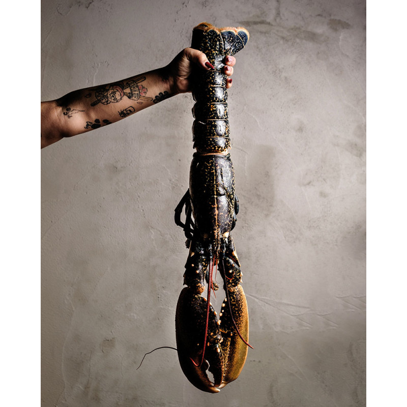 Saber y Sabor 196 - Haute Cuisine Magazine