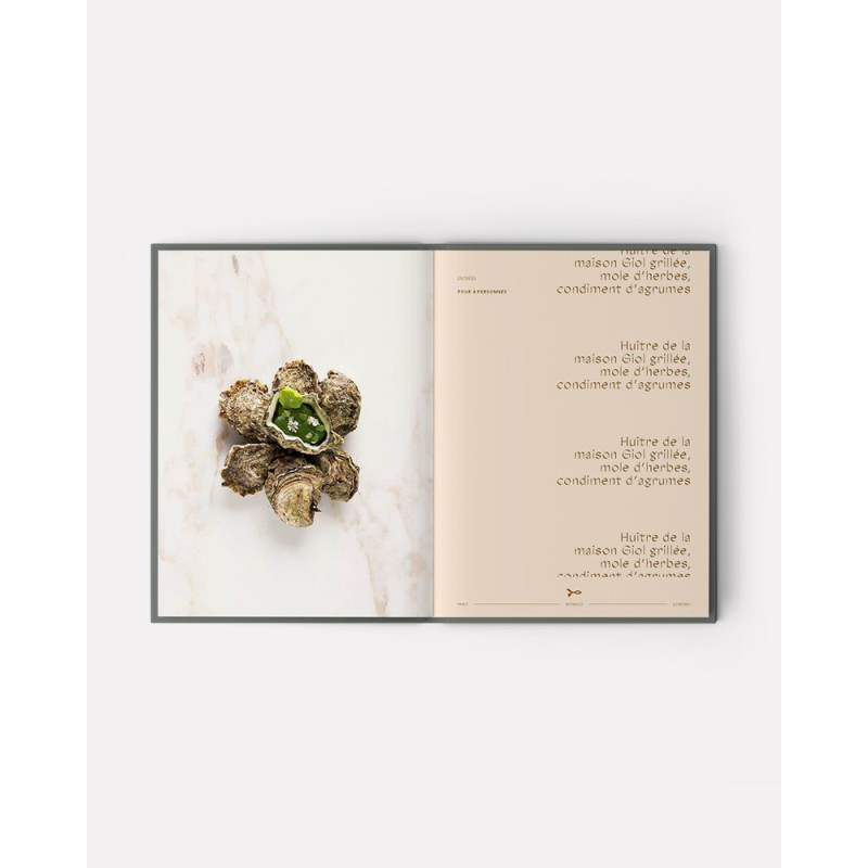 Book ADN Volume 1 by Alain Ducasse, Jean-philippe Blondet, Amaury Bouhours