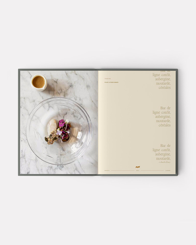 Book ADN Volume 1 by Alain Ducasse, Jean-philippe Blondet, Amaury Bouhours