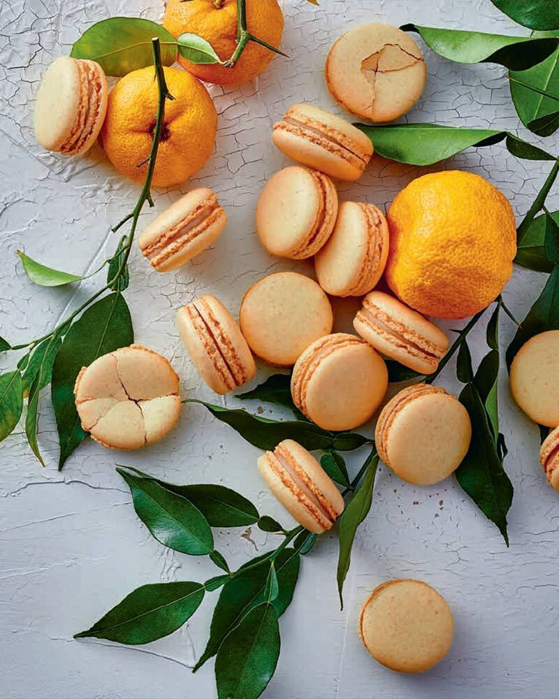 Libro Vegan Pastry de- Pierre Hermé