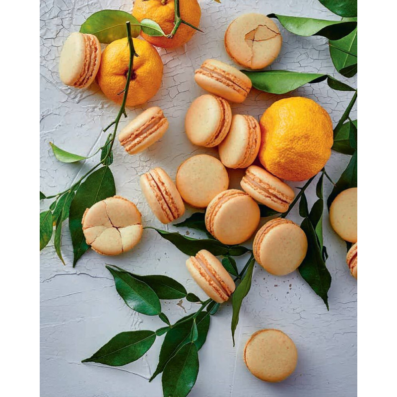 Libro Vegan Pastry de- Pierre Hermé